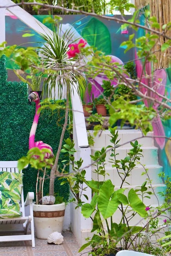 Casa Sunshine Holbox Hotel Isla Holbox
