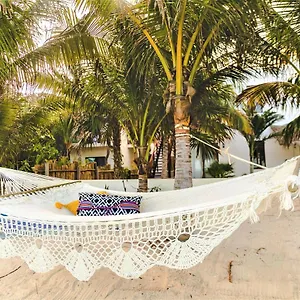 La Puerta Azul Beachfront - Adults Only **** Isla Holbox